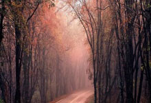 捷克客场险胜斯洛伐克，半决赛之路更近一步