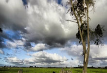 柏林赫塔遭遇战败球队前景暗淡