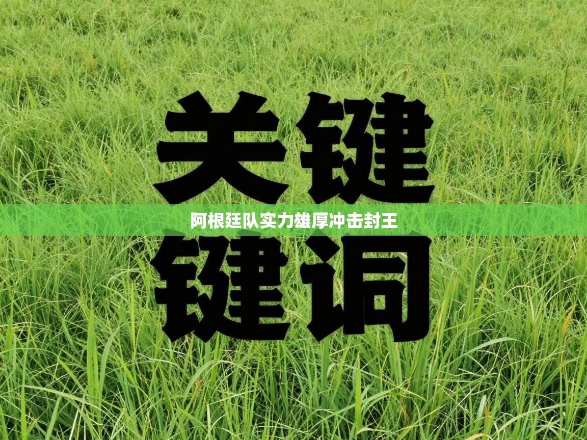 阿根廷队实力雄厚冲击封王  第2张